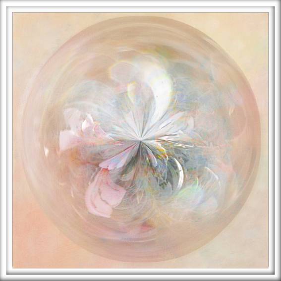 orb19