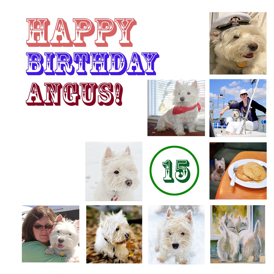 Angus birthday