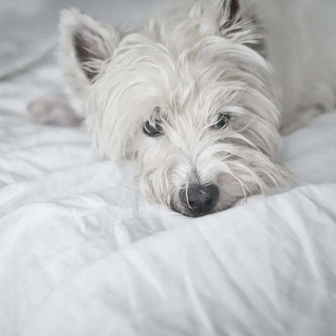 charles-and-rough-linen2