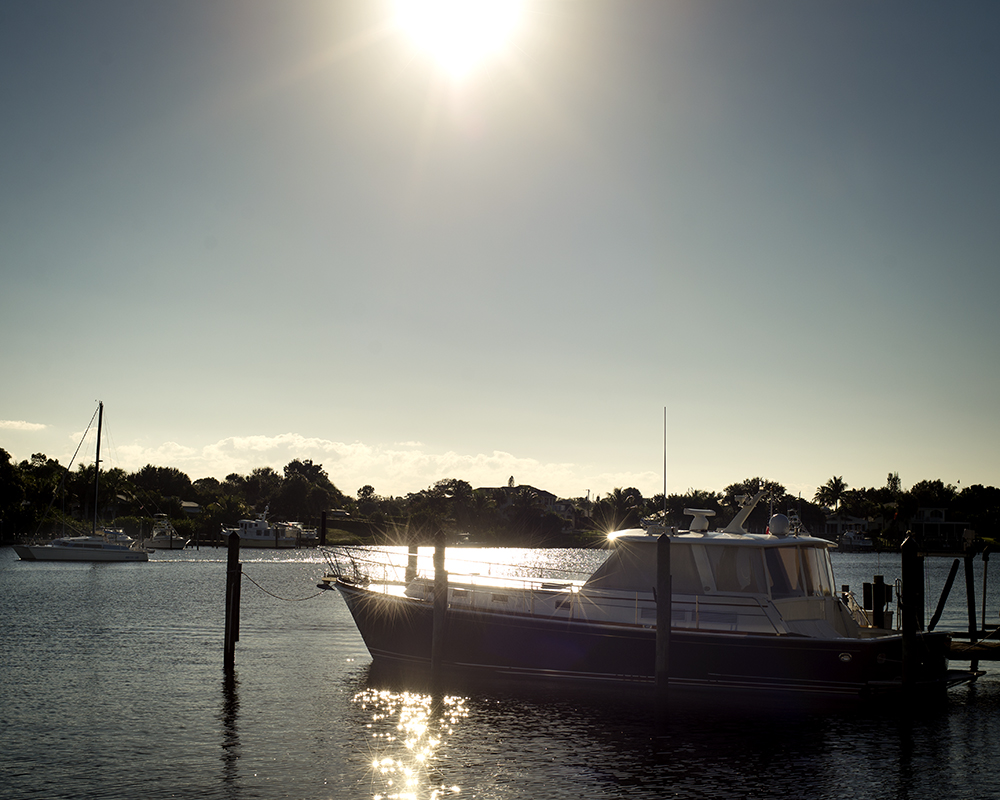 morning in the pocket