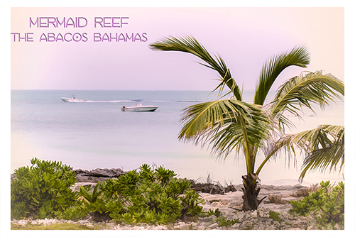 mermaid reef-small500