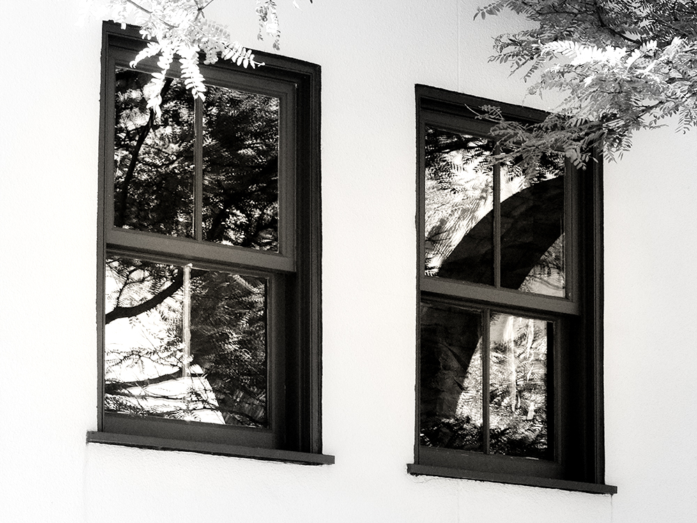 blackand white august 19