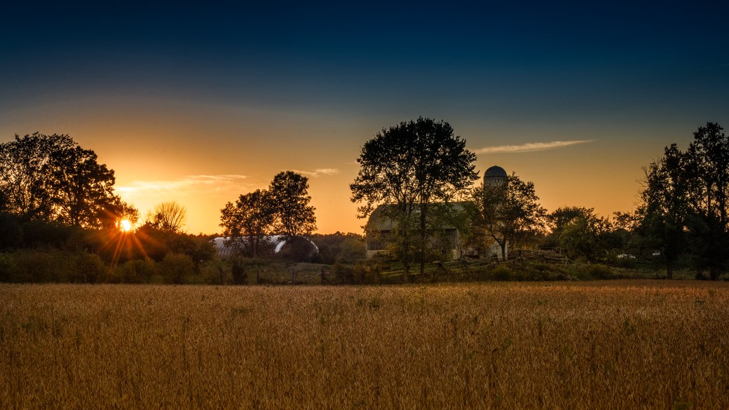 sherrygaleylanarkcountyhr