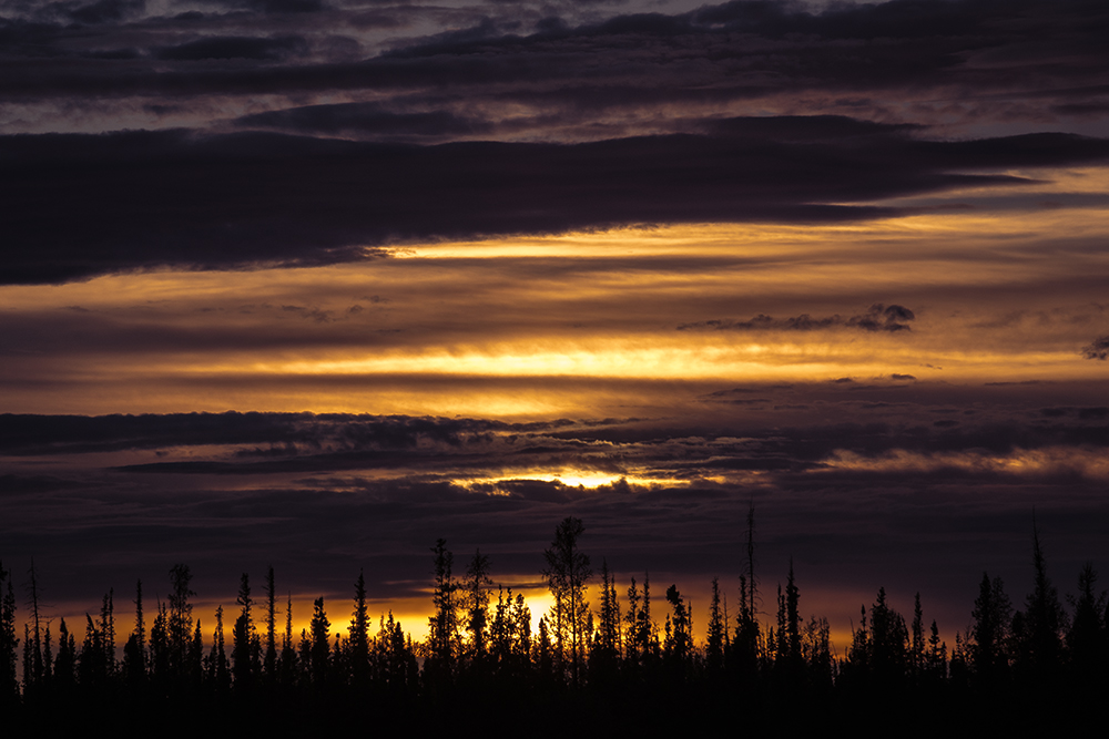 sunset nwt