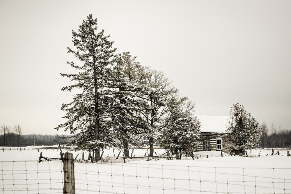 wintry-scene-almonte